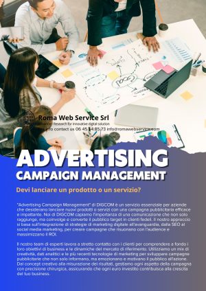 [161] Advertising Campaign Management
